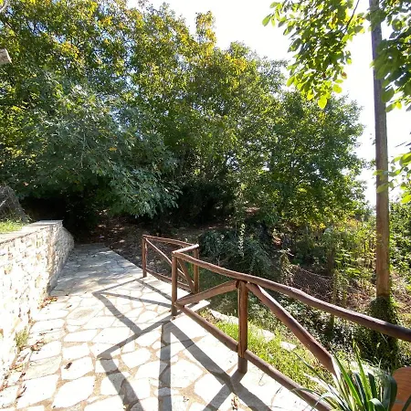 Green View Studio Pinakátai