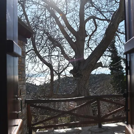 Green View Studio