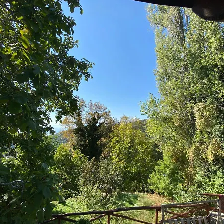 Green View Studio